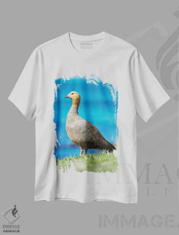 تیشرت سفید طرح دار – تیشرت حیوانات ,Falkland Islands,غاز سرسرخ در منطقه جزر و مدی جزیره کارکاس، جزایر فالکلند اثر مارتین زویک فروشگاه ایماژ