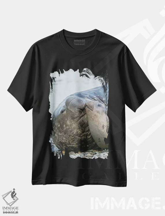 تیشرت مشکی طرح دار – تیشرت حیوانات ,فُک فیلی جنوبی نر و ماده در ساحل اثر مارتین زویک فروشگاه ایماژ