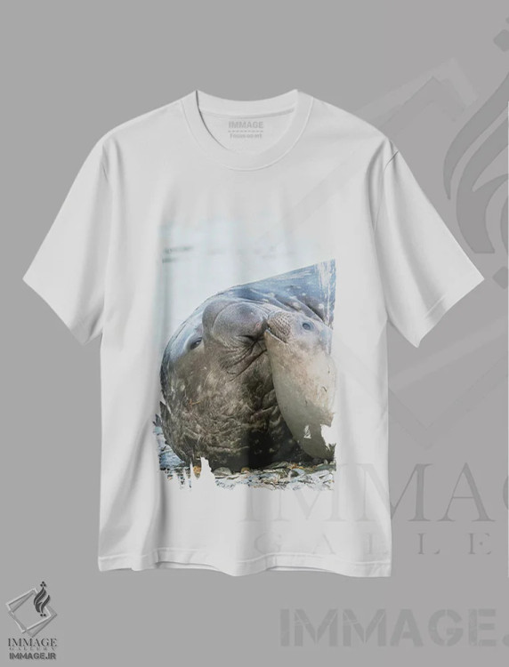 تیشرت سفید طرح دار – تیشرت حیوانات ,فُک فیلی جنوبی نر و ماده در ساحل اثر مارتین زویک immage.ir