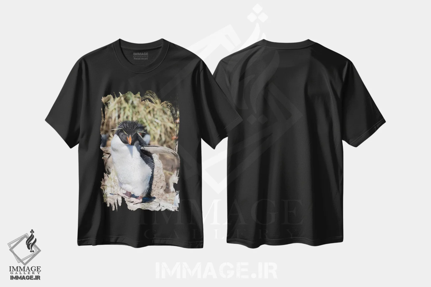 تیشرت مشکی طرح دار – تیشرت حیوانات ,subspecies western rockhopper penguin , Falkland Islands.,پنگوئن راک هاپر، زیرگونه غربی راک هاپر، جزایر فالکلند اثر مارتین زویک فروشگاه ایماژ