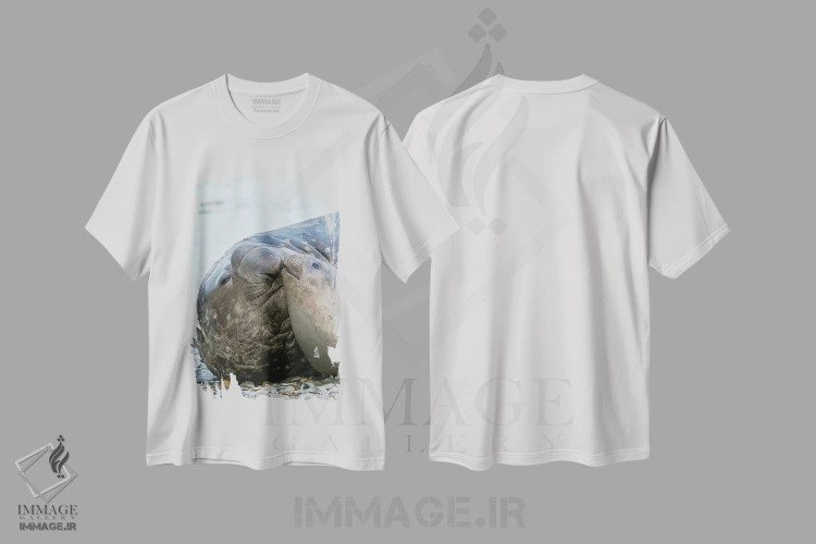 تیشرت سفید طرح دار – تیشرت حیوانات ,فُک فیلی جنوبی نر و ماده در ساحل اثر مارتین زویک immage.ir