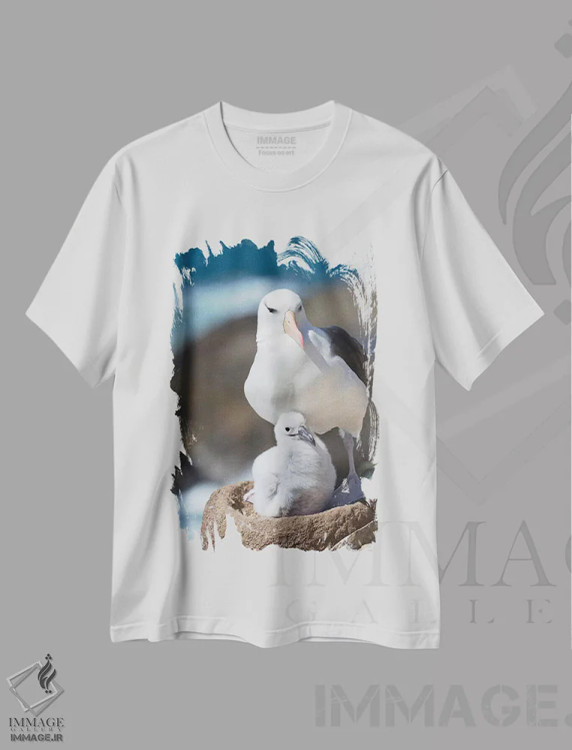 تیشرت سفید طرح دار – تیشرت پرندگان ,Falkland Islands.,آلباتروس ابروسیاه بالغ و جوجه روی لانه برج مانند، جزایر فالکلند اثر مارتین زویک فروشگاه ایماژ