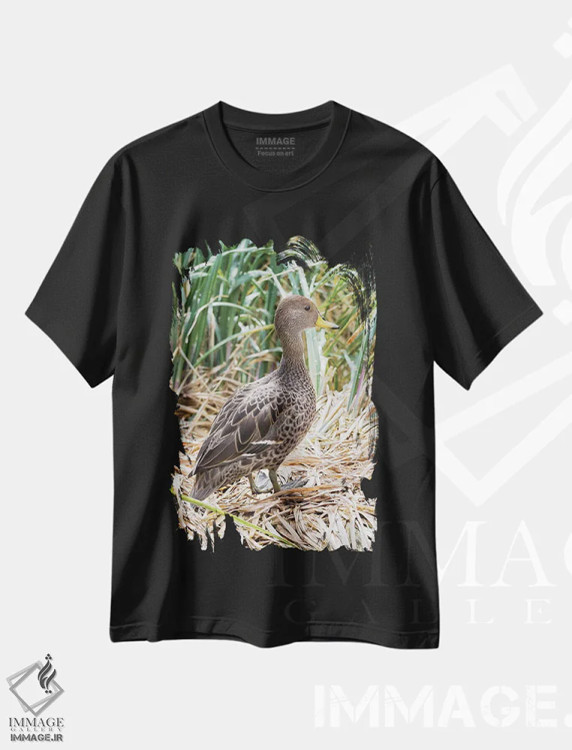 تیشرت مشکی طرح دار – تیشرت حیوانات ,in typical Tussock habitat.,پَنتِیل منقارزرد؛ گونه ای بومی جزیره جورجیای جنوبی، در زیستگاه typical تاساک اثر مارتین زویک فروشگاه ایماژ