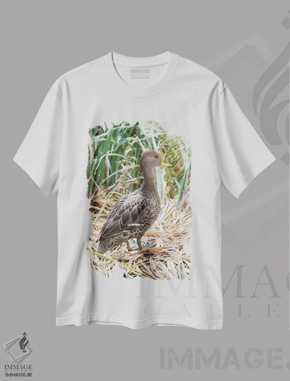 تیشرت سفید طرح دار – تیشرت حیوانات ,in typical Tussock habitat.,پَنتِیل منقارزرد؛ گونه ای بومی جزیره جورجیای جنوبی، در زیستگاه typical تاساک اثر مارتین زویک immage.ir