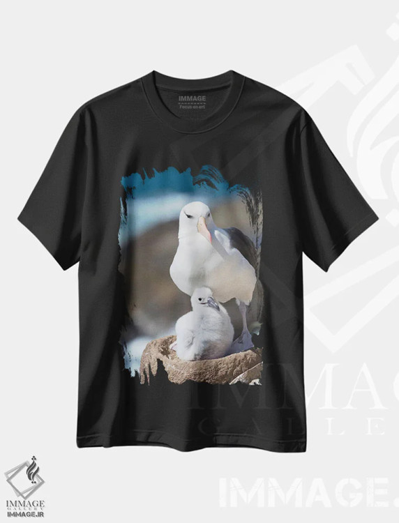 تیشرت مشکی طرح دار – تیشرت پرندگان ,Falkland Islands.,آلباتروس ابروسیاه بالغ و جوجه روی لانه برج مانند، جزایر فالکلند اثر مارتین زویک immage.ir