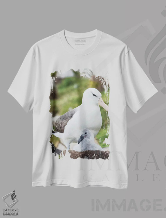تیشرت سفید طرح دار – تیشرت حیوانات ,Falkland Islands.,آلباتروس ابروسیاه بالغ و جوجه روی لانه برج مانند، جزایر فالکلند اثر مارتین زویک immage.ir
