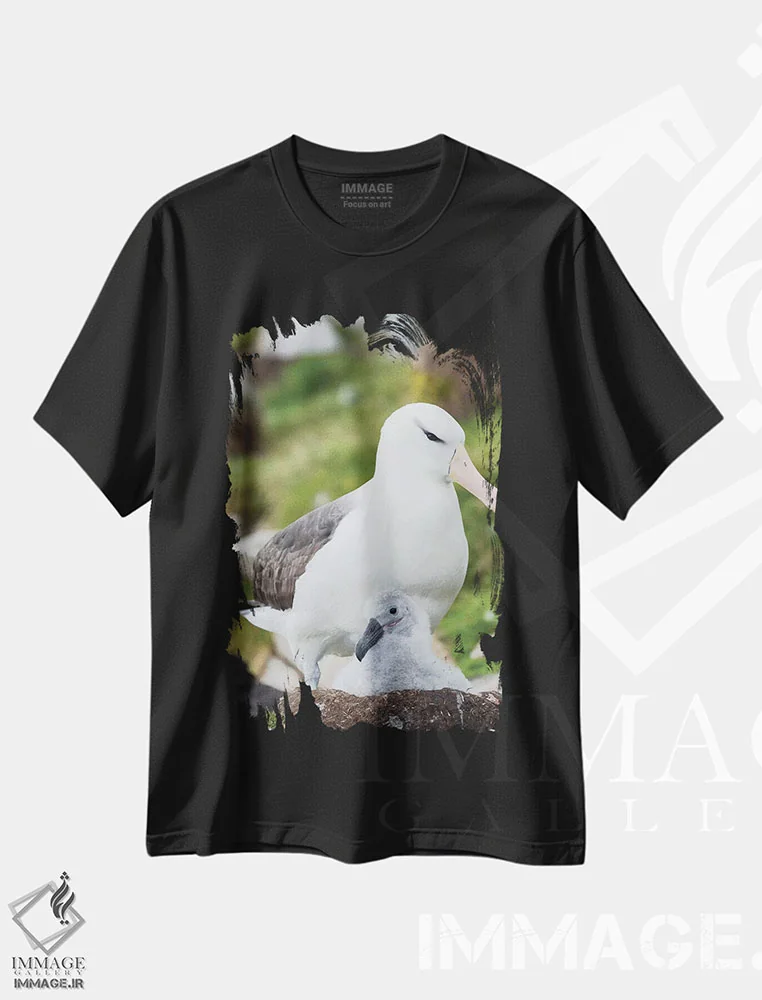 تیشرت مشکی طرح دار – تیشرت حیوانات ,Falkland Islands.,آلباتروس ابروسیاه بالغ و جوجه روی لانه برج مانند، جزایر فالکلند اثر مارتین زویک فروشگاه ایماژ