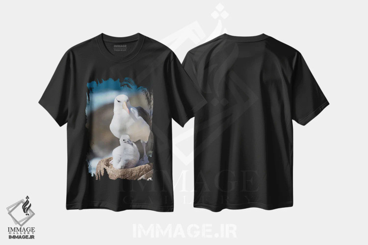 تیشرت مشکی طرح دار – تیشرت پرندگان ,Falkland Islands.,آلباتروس ابروسیاه بالغ و جوجه روی لانه برج مانند، جزایر فالکلند اثر مارتین زویک immage.ir