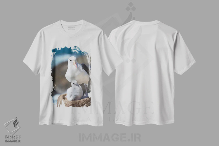 تیشرت سفید طرح دار – تیشرت پرندگان ,Falkland Islands.,آلباتروس ابروسیاه بالغ و جوجه روی لانه برج مانند، جزایر فالکلند اثر مارتین زویک فروشگاه ایماژ