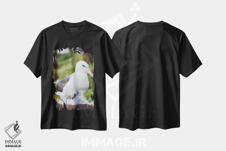 تیشرت مشکی طرح دار – تیشرت حیوانات ,Falkland Islands.,آلباتروس ابروسیاه بالغ و جوجه روی لانه برج مانند، جزایر فالکلند اثر مارتین زویک فروشگاه ایماژ