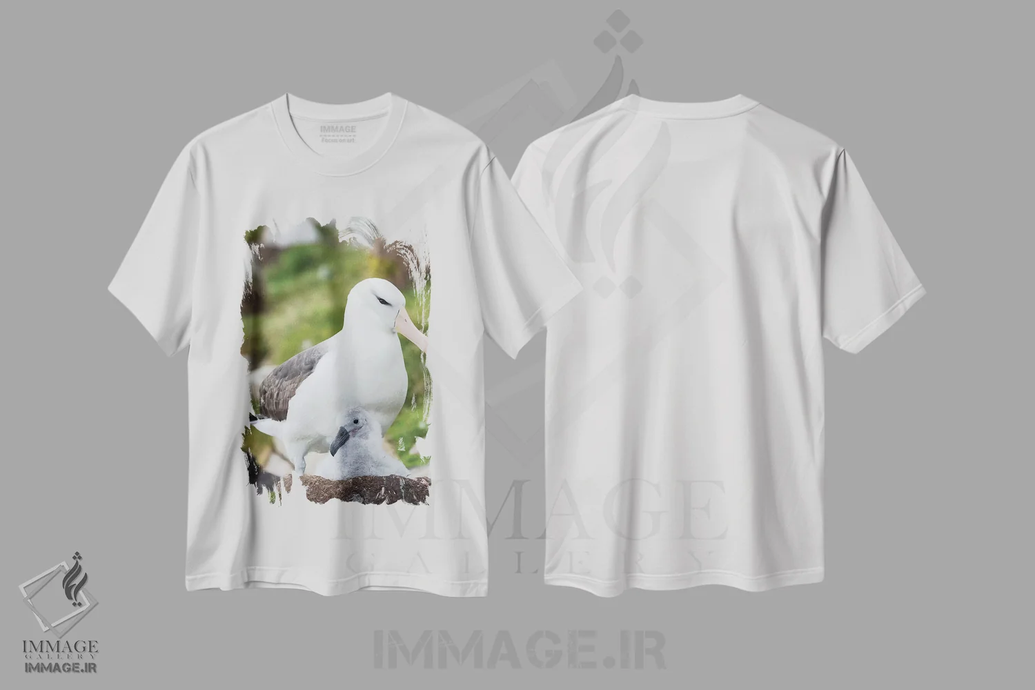 تیشرت سفید طرح دار – تیشرت حیوانات ,Falkland Islands.,آلباتروس ابروسیاه بالغ و جوجه روی لانه برج مانند، جزایر فالکلند اثر مارتین زویک immage.ir