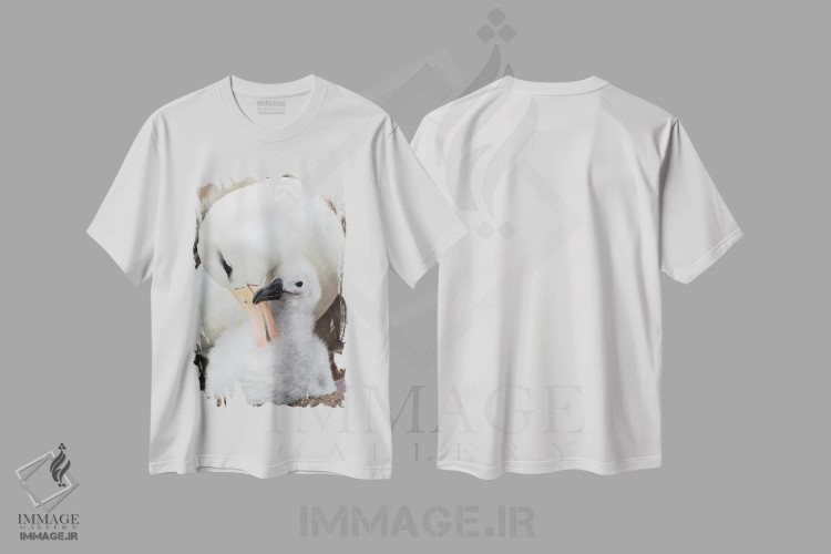 تیشرت سفید طرح دار – تیشرت پرندگان ,Falkland Islands.,آلباتروس ابروسیاه بالغ و جوجه روی لانه برج مانند، جزایر فالکلند اثر مارتین زویک فروشگاه ایماژ