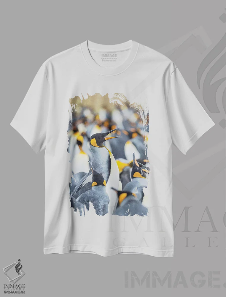 تیشرت سفید طرح دار – تیشرت حیوانات ,Falkland Islands.,پنگوئن شاه بالغ در حال دویدن میان کلونی و نوک خوردن از همسایگان، جزایر فالکلند اثر مارتین زویک immage.ir