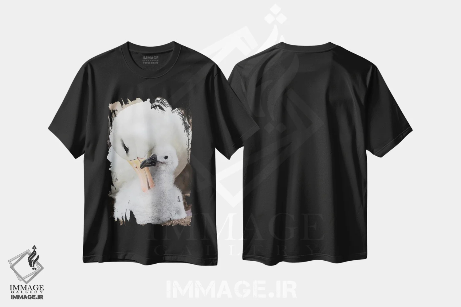 تیشرت مشکی طرح دار – تیشرت پرندگان ,Falkland Islands.,آلباتروس ابروسیاه بالغ و جوجه روی لانه برج مانند، جزایر فالکلند اثر مارتین زویک immage.ir