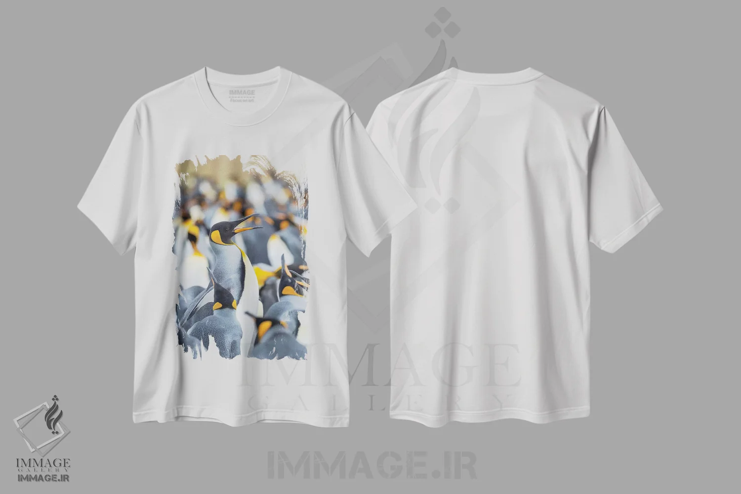 تیشرت سفید طرح دار – تیشرت حیوانات ,Falkland Islands.,پنگوئن شاه بالغ در حال دویدن میان کلونی و نوک خوردن از همسایگان، جزایر فالکلند اثر مارتین زویک immage.ir