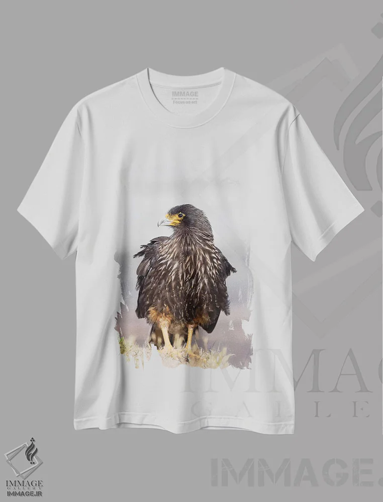 تیشرت سفید طرح دار – تیشرت حیوانات ,Protected, Endemic To The Falkland Islands.,کاراکارا خط دار بالغ، حفاظت شده، بومی جزایر فالکلند اثر مارتین زویک immage.ir