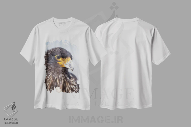 تیشرت سفید طرح دار – تیشرت طبیعت ,Protected, Endemic To The Falkland Islands.,کاراکارا خط دار بالغ، حفاظت شده، بومی جزایر فالکلند اثر مارتین زویک فروشگاه ایماژ