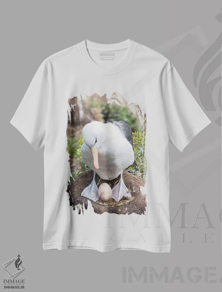 تیشرت سفید طرح دار – تیشرت پرنده ,Falkland Islands.,آلباتروس ابروسیاه بالغ یا مالی ماک ابروسیاه با تخم روی لانه برج مانند، جزایر فالکلند اثر مارتین زویک فروشگاه ایماژ