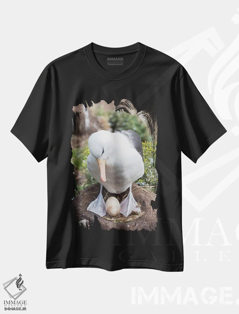 تیشرت مشکی طرح دار – تیشرت پرنده ,Falkland Islands.,آلباتروس ابروسیاه بالغ یا مالی ماک ابروسیاه با تخم روی لانه برج مانند، جزایر فالکلند اثر مارتین زویک immage.ir