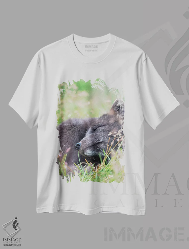 تیشرت سفید طرح دار – تیشرت حیوانات ,Melrakkasetur Islands, Westfjords, Iceland,روباه قطبی، جزایر ملراکاستور، وستفیوردز، ایسلند اثر مارتین زویک فروشگاه ایماژ