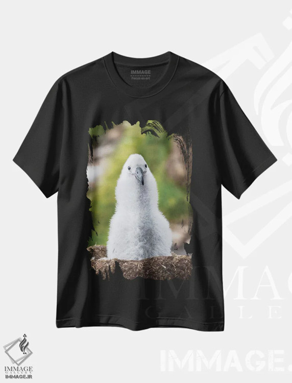 تیشرت مشکی طرح دار – تیشرت طبیعتی ,Falkland Islands.,جوجه آلباتروس ابروسیاه روی لانه برج مانند، جزایر فالکلند اثر مارتین زویک فروشگاه ایماژ