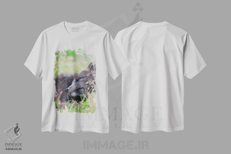 تیشرت سفید طرح دار – تیشرت حیوانات ,Melrakkasetur Islands, Westfjords, Iceland,روباه قطبی، جزایر ملراکاستور، وستفیوردز، ایسلند اثر مارتین زویک فروشگاه ایماژ