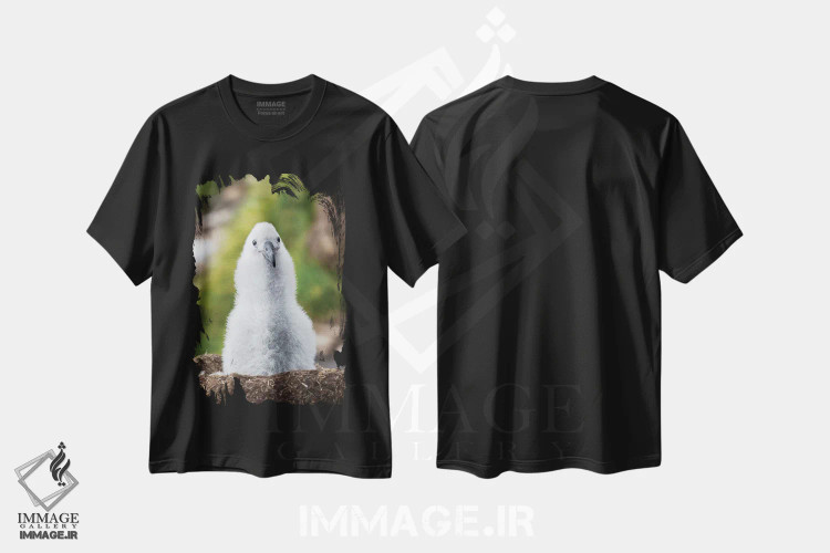 تیشرت مشکی طرح دار – تیشرت طبیعتی ,Falkland Islands.,جوجه آلباتروس ابروسیاه روی لانه برج مانند، جزایر فالکلند اثر مارتین زویک فروشگاه ایماژ