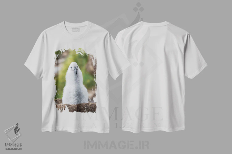 تیشرت سفید طرح دار – تیشرت طبیعتی ,Falkland Islands.,جوجه آلباتروس ابروسیاه روی لانه برج مانند، جزایر فالکلند اثر مارتین زویک immage.ir