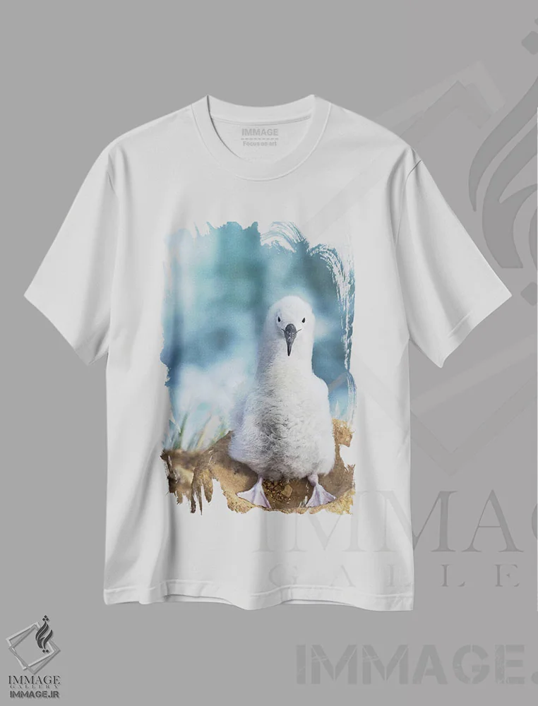 تیشرت سفید طرح دار – تیشرت طبیعت ,Falkland Islands.,جوجه آلباتروس ابروسیاه روی لانه برج مانند، جزایر فالکلند اثر مارتین زویک فروشگاه ایماژ