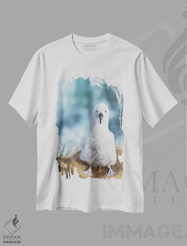 تیشرت سفید طرح دار – تیشرت طبیعت ,Falkland Islands.,جوجه آلباتروس ابروسیاه روی لانه برج مانند، جزایر فالکلند اثر مارتین زویک فروشگاه ایماژ