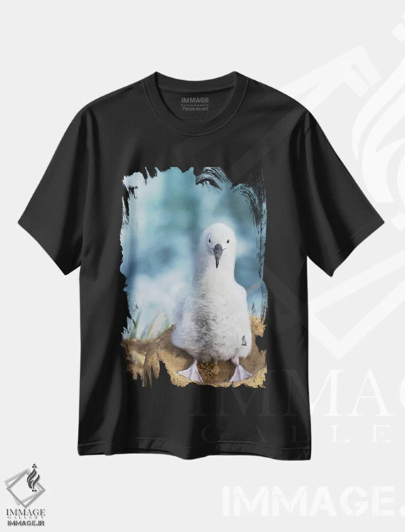 تیشرت مشکی طرح دار – تیشرت طبیعت ,Falkland Islands.,جوجه آلباتروس ابروسیاه روی لانه برج مانند، جزایر فالکلند اثر مارتین زویک immage.ir