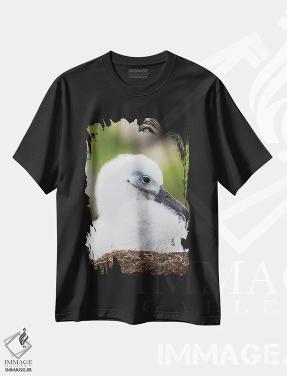 تیشرت مشکی طرح دار – تیشرت حیوانات ,Falkland Islands.,جوجه آلباتروس ابروسیاه روی لانه برج مانند، جزایر فالکلند اثر مارتین زویک فروشگاه ایماژ