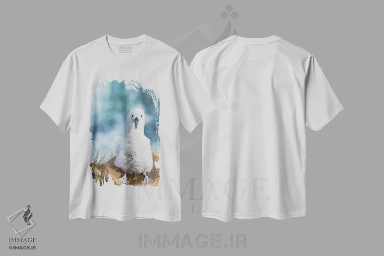 تیشرت سفید طرح دار – تیشرت طبیعت ,Falkland Islands.,جوجه آلباتروس ابروسیاه روی لانه برج مانند، جزایر فالکلند اثر مارتین زویک فروشگاه ایماژ