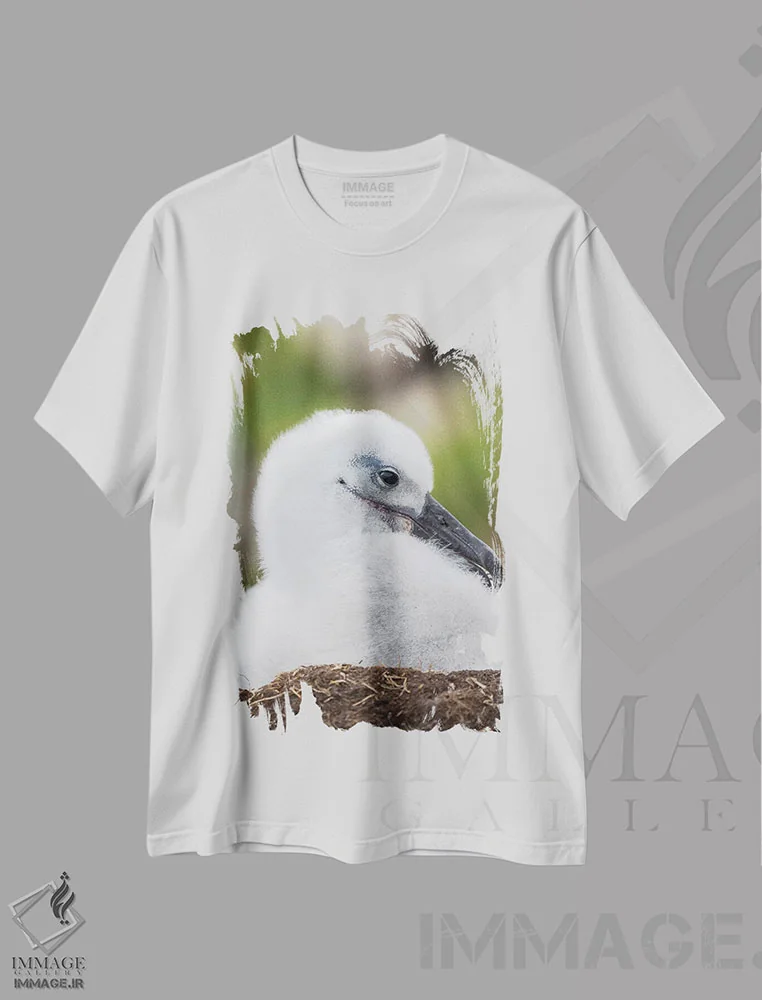 تیشرت سفید طرح دار – تیشرت حیوانات ,Falkland Islands.,جوجه آلباتروس ابروسیاه روی لانه برج مانند، جزایر فالکلند اثر مارتین زویک immage.ir