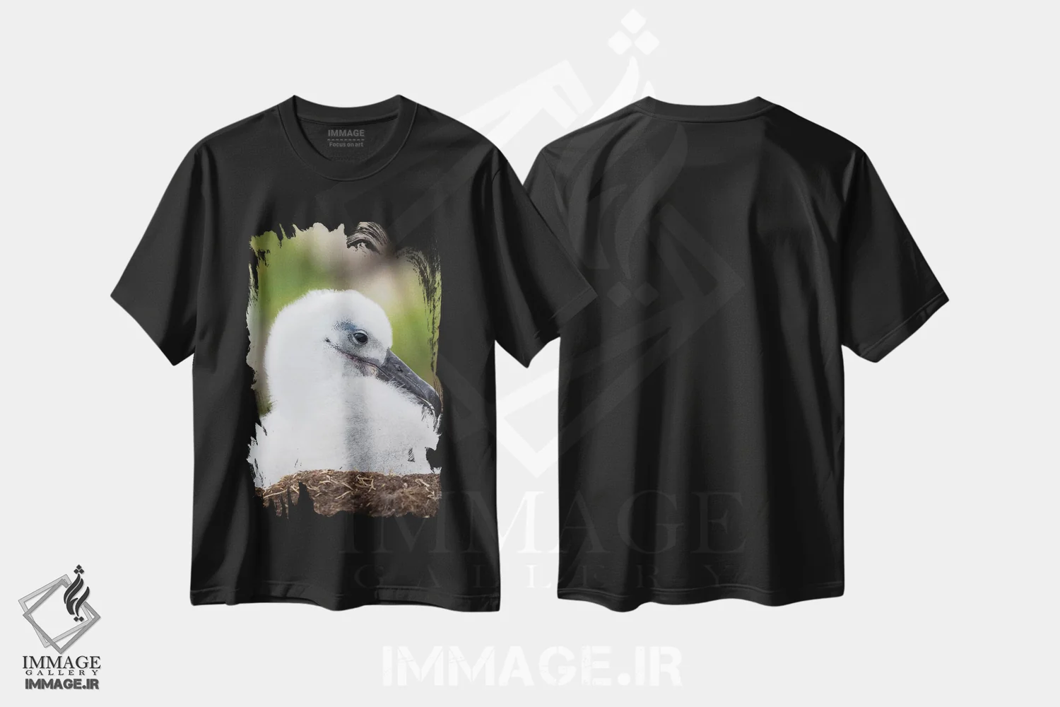 تیشرت مشکی طرح دار – تیشرت حیوانات ,Falkland Islands.,جوجه آلباتروس ابروسیاه روی لانه برج مانند، جزایر فالکلند اثر مارتین زویک فروشگاه ایماژ