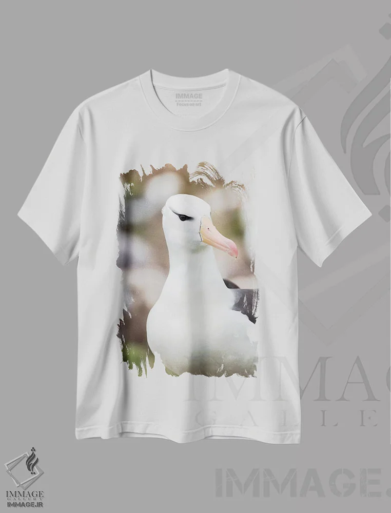 تیشرت سفید طرح دار – تیشرت پرندگان ,Falkland Islands.,آلباتروس ابروسیاه یا مالی ماک ابروسیاه، جزایر فالکلند اثر مارتین زویک فروشگاه ایماژ