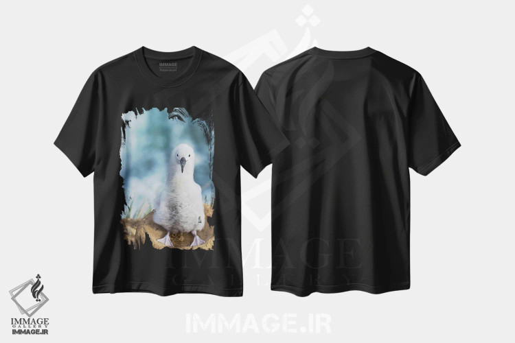 تیشرت مشکی طرح دار – تیشرت طبیعت ,Falkland Islands.,جوجه آلباتروس ابروسیاه روی لانه برج مانند، جزایر فالکلند اثر مارتین زویک immage.ir