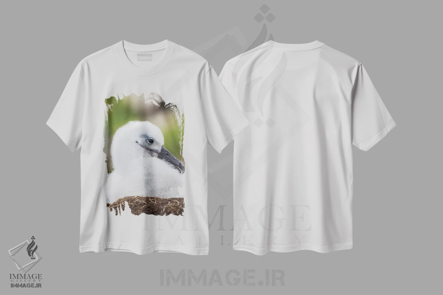 تیشرت سفید طرح دار – تیشرت حیوانات ,Falkland Islands.,جوجه آلباتروس ابروسیاه روی لانه برج مانند، جزایر فالکلند اثر مارتین زویک immage.ir