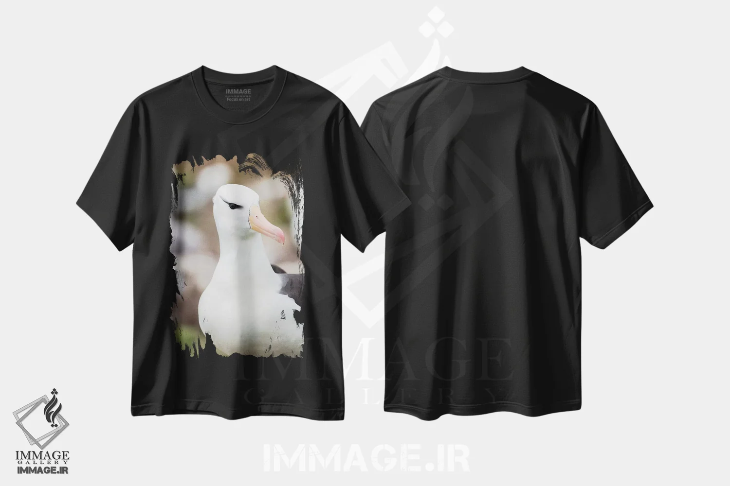 تیشرت مشکی طرح دار – تیشرت پرندگان ,Falkland Islands.,آلباتروس ابروسیاه یا مالی ماک ابروسیاه، جزایر فالکلند اثر مارتین زویک immage.ir