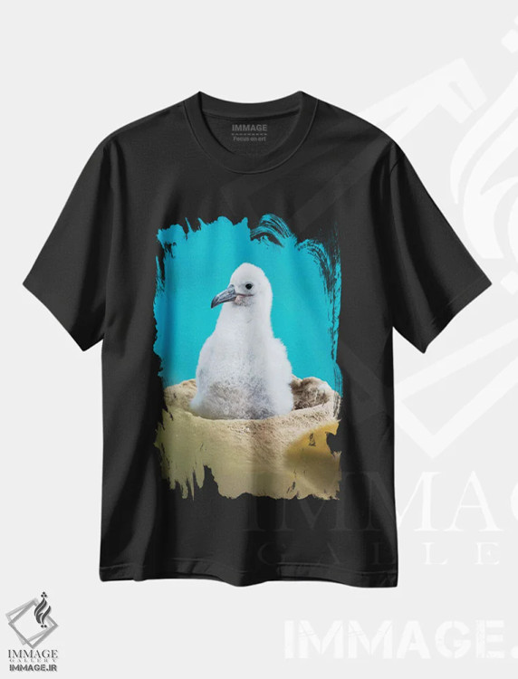تیشرت مشکی طرح دار – تیشرت طبیعت ,Falkland Islands.,جوجه روی لانه برج مانند؛ آلباتروس ابروسیاه یا مالی ماک ابروسیاه، جزایر فالکلند اثر مارتین زویک فروشگاه ایماژ