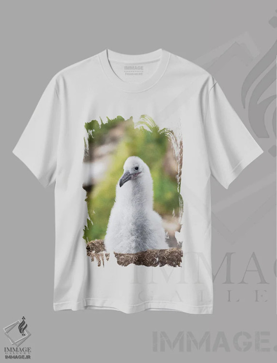تیشرت سفید طرح دار – تیشرت طبیعت ,Falkland Islands.,جوجه روی لانه برج مانند؛ آلباتروس ابروسیاه یا مالی ماک ابروسیاه، جزایر فالکلند اثر مارتین زویک فروشگاه ایماژ