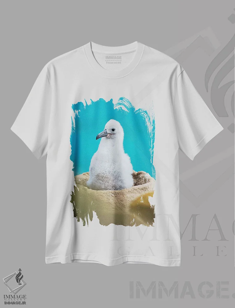 تیشرت سفید طرح دار – تیشرت طبیعت ,Falkland Islands.,جوجه روی لانه برج مانند؛ آلباتروس ابروسیاه یا مالی ماک ابروسیاه، جزایر فالکلند اثر مارتین زویک immage.ir
