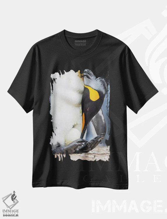 تیشرت مشکی طرح دار – تیشرت حیوانات ,تخم در حال گرم شدن توسط پنگوئن بالغ با تعادل روی پاها؛ پنگوئن شاه در جزایر فالکلند اثر مارتین زویک فروشگاه ایماژ