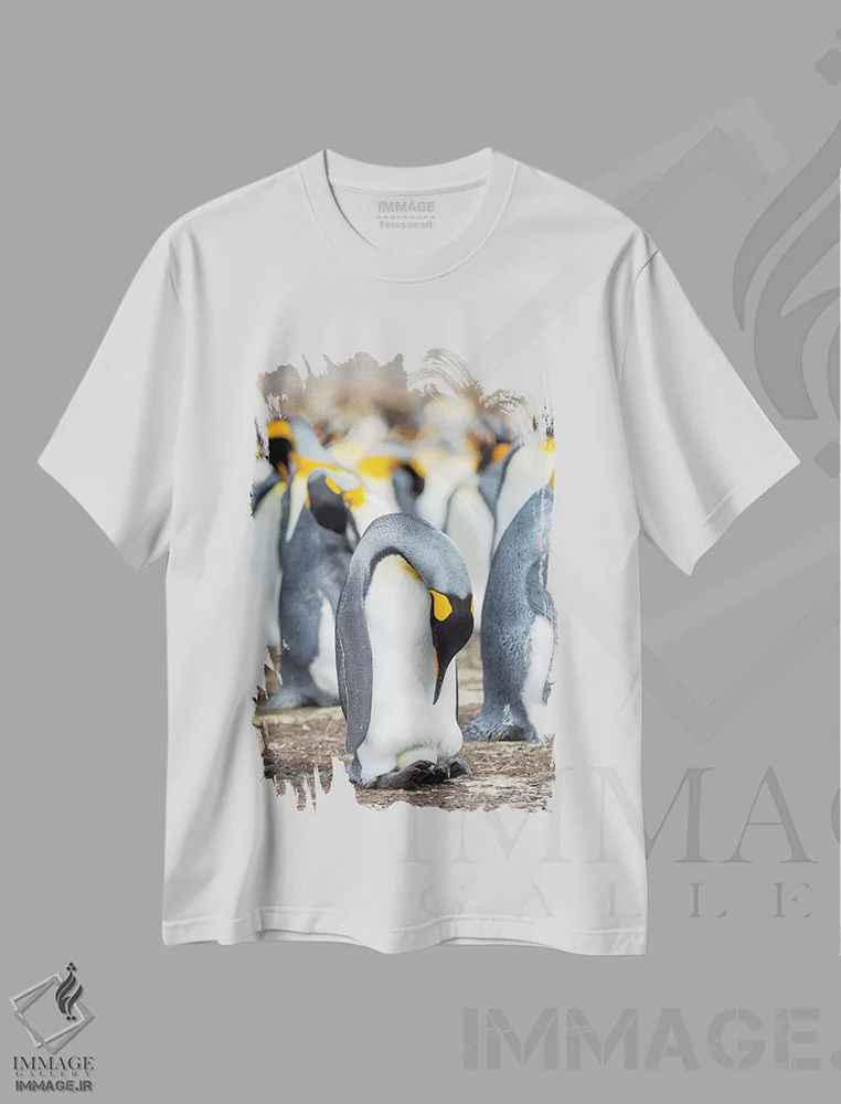 تیشرت سفید طرح دار – تیشرت پنگوئن ها ,تخم در حال گرم شدن توسط پنگوئن بالغ با تعادل روی پاها؛ پنگوئن شاه در جزایر فالکلند اثر مارتین زویک فروشگاه ایماژ