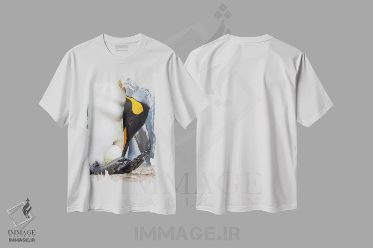 تیشرت سفید طرح دار – تیشرت حیوانات ,تخم در حال گرم شدن توسط پنگوئن بالغ با تعادل روی پاها؛ پنگوئن شاه در جزایر فالکلند اثر مارتین زویک immage.ir