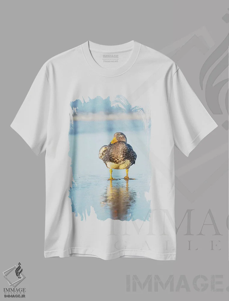 تیشرت سفید طرح دار – تیشرت حیوانات ,Female A Greenish Beak, Falkland Islands.,اردک بی پرواز فالکلند؛ نر با منقار نارنجی و ماده با منقار سبز رنگ، جزایر فالکلند اثر مارتین زویک فروشگاه ایماژ