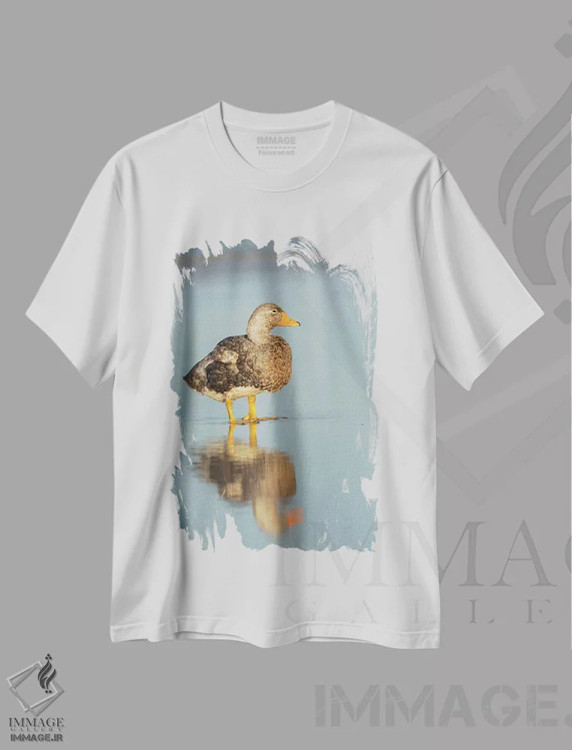 تیشرت سفید طرح دار – تیشرت پرنده نگاری ,Falkland Islands.,اردک استیمردر نر بی پرواز فالکلند، جزایر فالکلند اثر مارتین زویک immage.ir