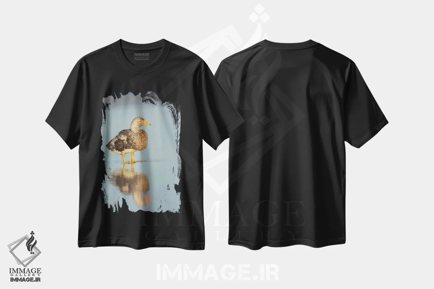تیشرت مشکی طرح دار – تیشرت پرنده نگاری ,Falkland Islands.,اردک استیمردر نر بی پرواز فالکلند، جزایر فالکلند اثر مارتین زویک فروشگاه ایماژ