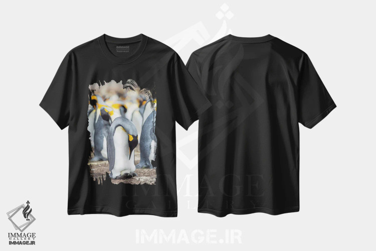 تیشرت مشکی طرح دار – تیشرت پنگوئن ها ,تخم در حال گرم شدن توسط پنگوئن بالغ با تعادل روی پاها؛ پنگوئن شاه در جزایر فالکلند اثر مارتین زویک immage.ir