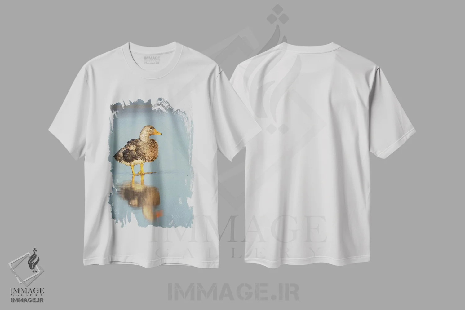 تیشرت سفید طرح دار – تیشرت پرنده نگاری ,Falkland Islands.,اردک استیمردر نر بی پرواز فالکلند، جزایر فالکلند اثر مارتین زویک immage.ir